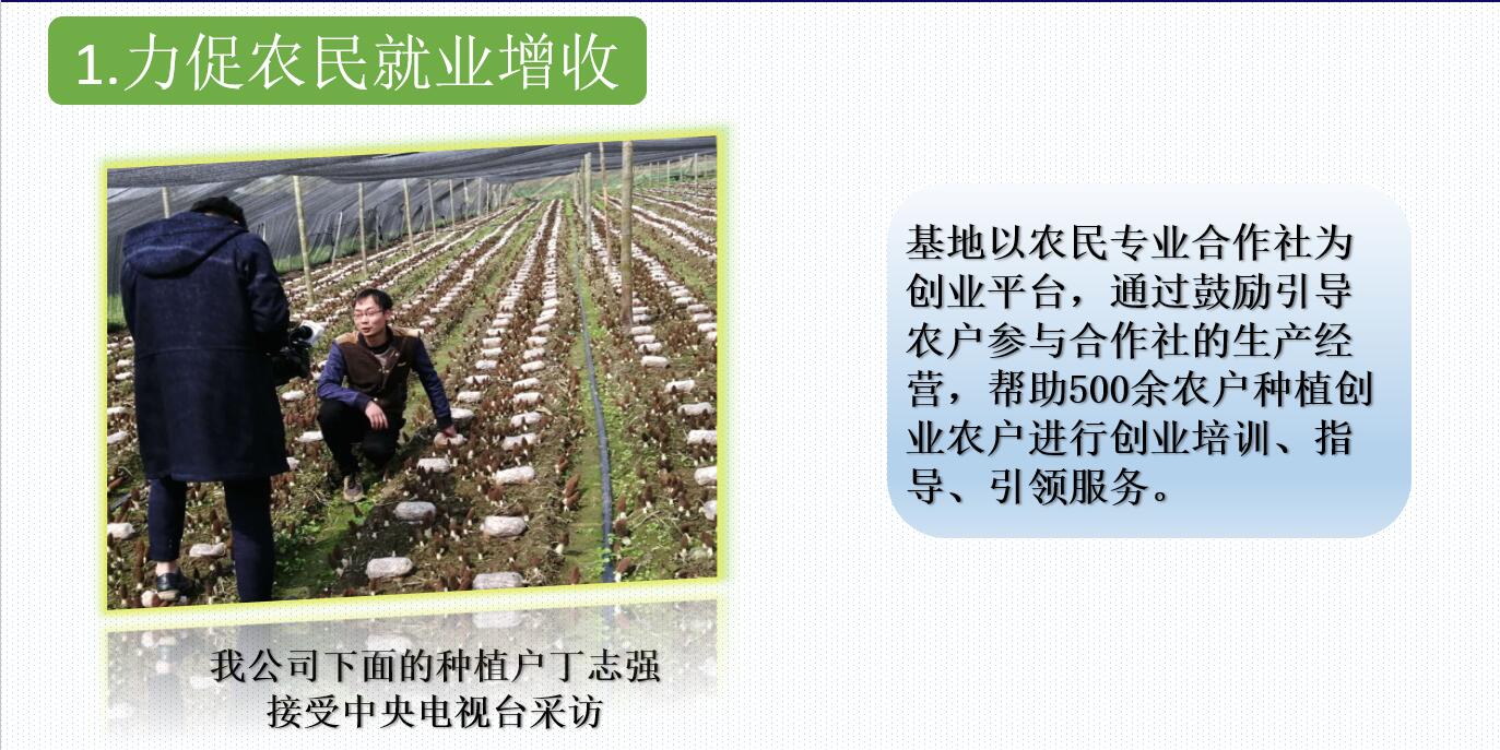 &#26131;&#28216;&#40;&#20013;&#22269;&#41;&#121;&#105;&#121;&#111;&#117;