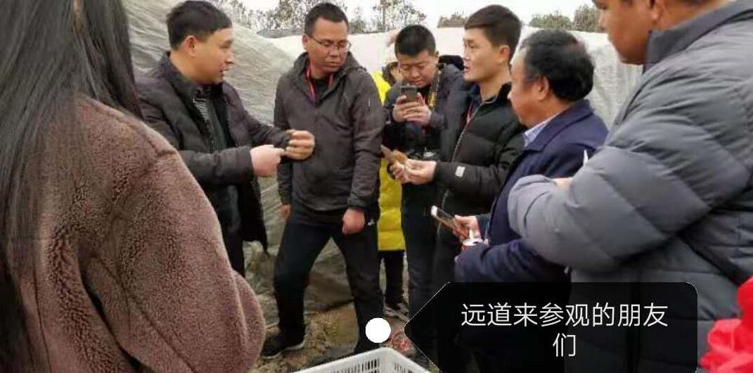 &#26131;&#28216;&#40;&#20013;&#22269;&#41;&#121;&#105;&#121;&#111;&#117;