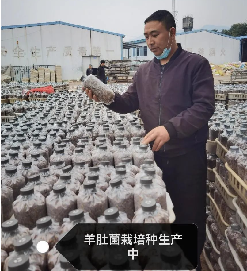 &#26131;&#28216;&#40;&#20013;&#22269;&#41;&#121;&#105;&#121;&#111;&#117;